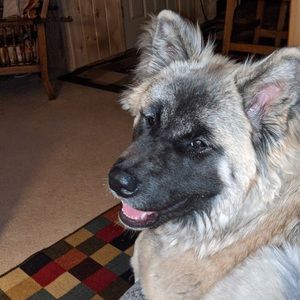 Meet your Posher, Pamela